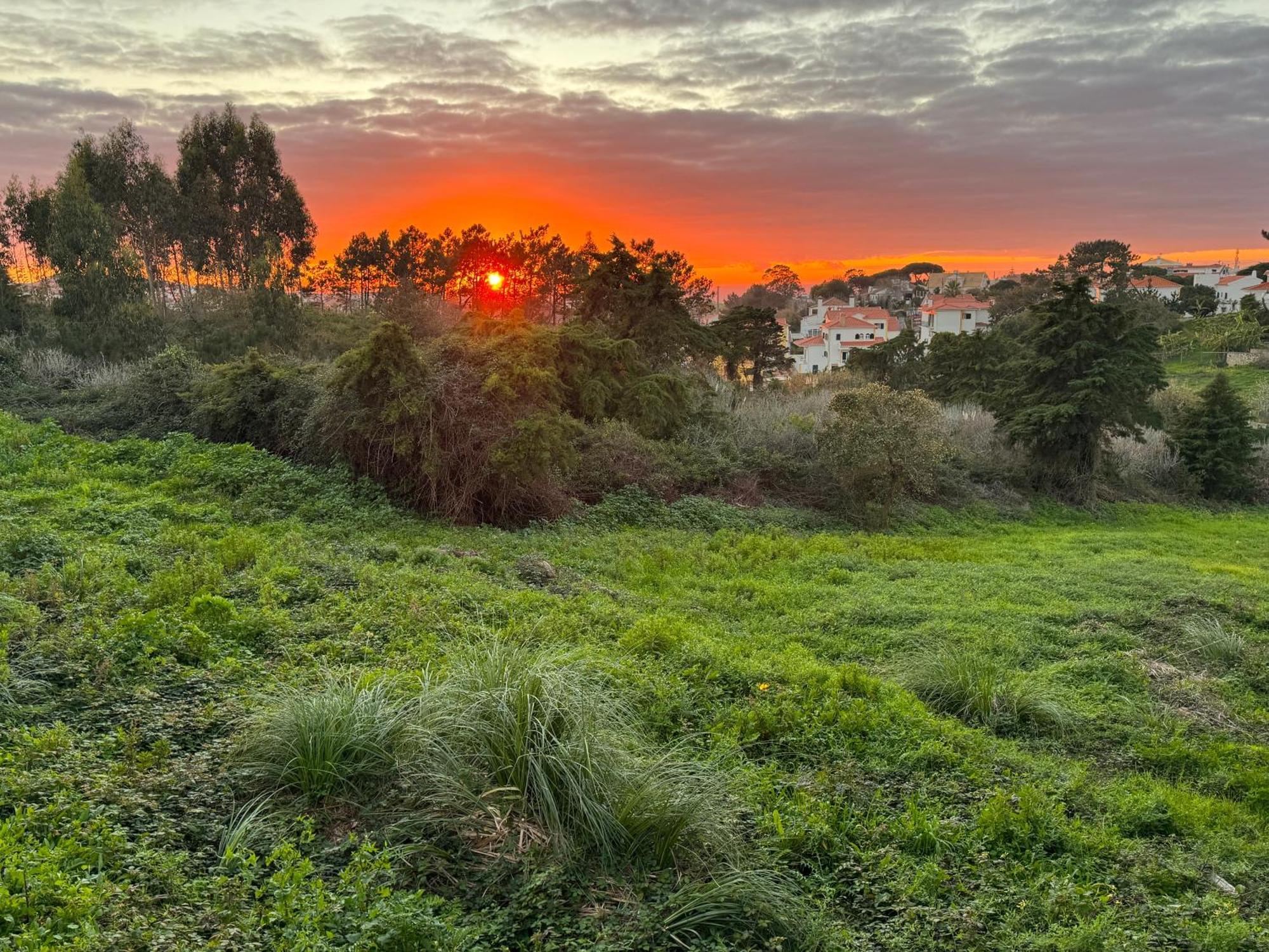 Boutique Hotel - O House Ericeira Hills Dış mekan fotoğraf